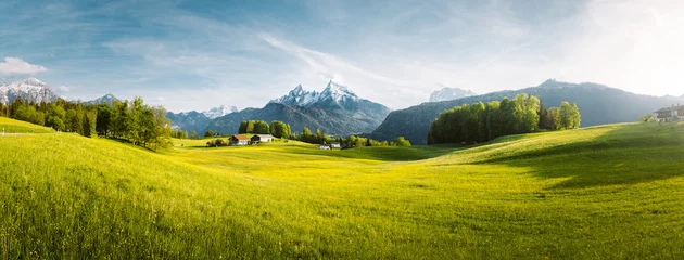 Selbstklebende Fototapete Wiese, Sumpf Idyllic landscape in the Alps with blooming meadows in springtime