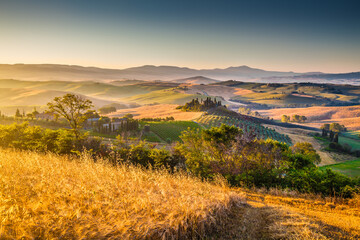 Fototapeta premium Scenic Tuscany landscape at sunrise, Val d'Orcia, Italy