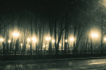boulevard at foggy rainy night - obrazy, fototapety, plakaty
