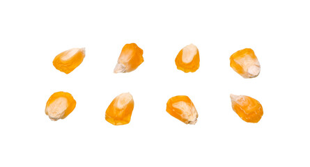 Corn seeds on white