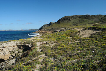 Fototapeta na wymiar La costa della Nurra tra Rena Maiore e Monte Rugginosu