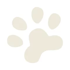 Fotobehang An imprint of a dog or cat footprint . A simple flat vector illustration isolated on a white background. © Валерия Соловьева