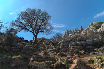 Parque natural el Torcal de Antequera Málaga