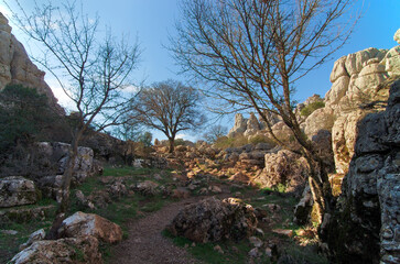 Parque natural el Torcal de Antequera Málaga