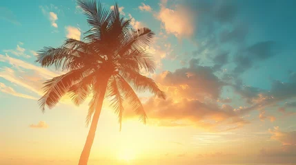 Foto op Canvas An abstract background of clouds and a sunset sky with a silhouetted tropical palm tree in the light of the sun is copied. Idea for an adventurous summer holiday in the outdoors. © Suleyman