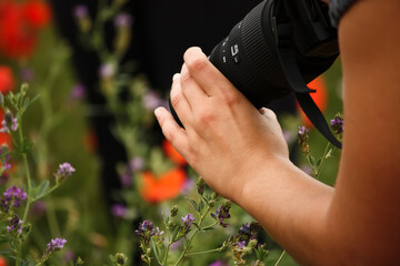 hand holding a black DSLR camera focuses on colorful flowers, capturing the beauty of nature