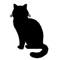 black cat silhouette