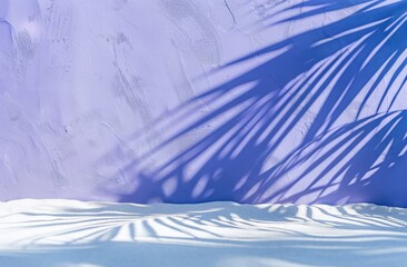 The shadow of a palm tree is cast onto a white wall under the bright sun.