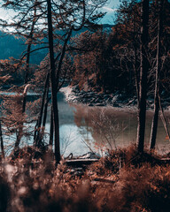 Berglandschaft Eibsee