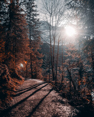 Berglandschaft Eibsee