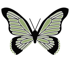Vector SVG color hand-drawn Butterfly illustration. Flat Butterfly collection