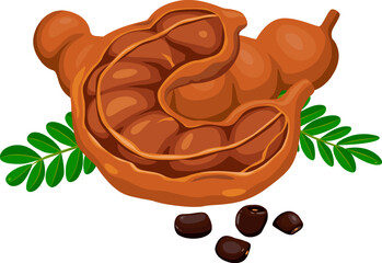 Tamarind fruit seeds and pods. vector illustration flat cartoon icon isolated on white.Vector eps 10. perfect for wallpaper or design elements