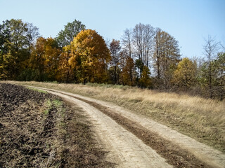 Fototapeta premium Dirt road in the countryside in early autumn.