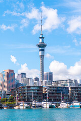 views of auckland harbour and skyline at background