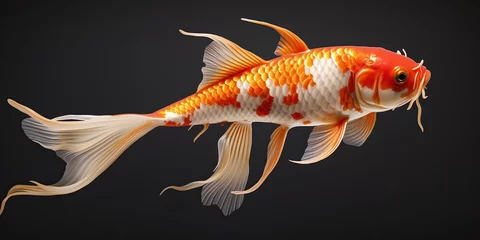 Fotobehang goldfish in aquarium © Ayesha lateef