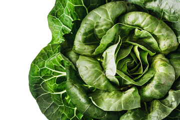 Fototapeta premium lettuce isolated on white background