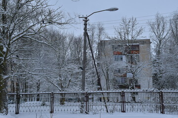 winter in the city