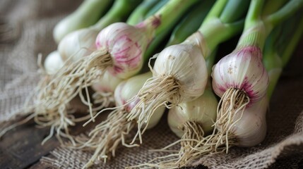 Sweet garleek - a mixture of spring onions and garlic cloves, perfect for food and culinary themes.