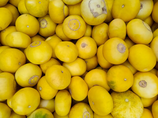 Heap of Yellow Asian Canary Melon, Kharbooja, or Kharboza Melon Family fruit on the cart at the local market. These canary melons are freshly harvested. Scientific Name: Cucumis melo.