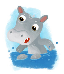 cartoon scene with happy little boy hippo hippopotamus having fun swimming in the water on white background illustration for children