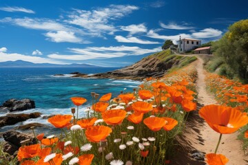 Tranquil fishermans cottage by the sea, surrounded by a vibrant poppy field pathway - obrazy, fototapety, plakaty