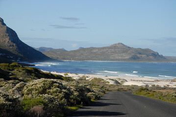 Fototapeta premium Table Mountain National Park, South Africa, coastal view and wild flowers