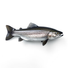Obraz premium Trout fish on white background сreated with Generative Ai