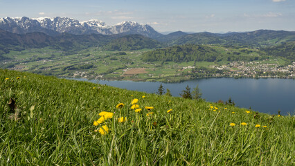 Fototapeta na wymiar Blick vom Grünberg über den Traunsee