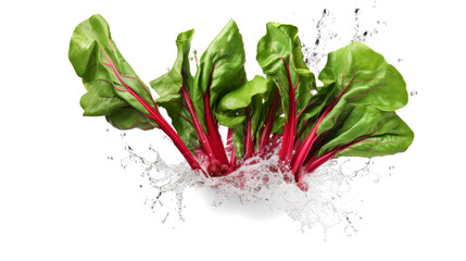 Swiss chard  sliced pieces flying in the air with water splash isolated on transparent png.
 - obrazy, fototapety, plakaty