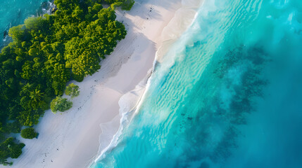 Fototapeta na wymiar Beautiful paradise beach, crystal clear water, white sand, beach background