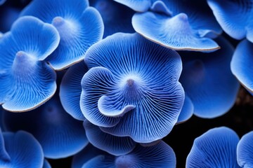 Textured Blue mushroom closeup background. Water glow. Generate Ai - obrazy, fototapety, plakaty
