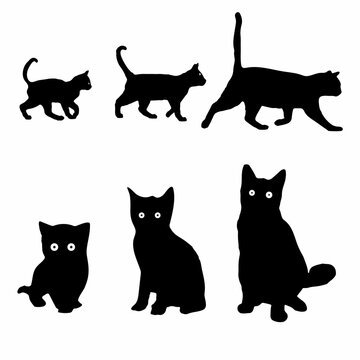Creative pet cat silhouette template