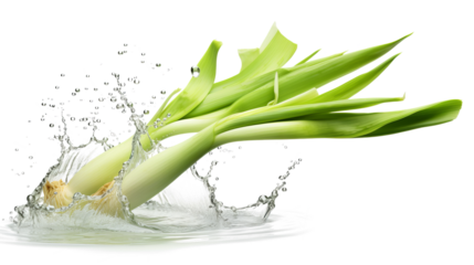 Leek sliced pieces flying in the air with water splash isolated on transparent png.
