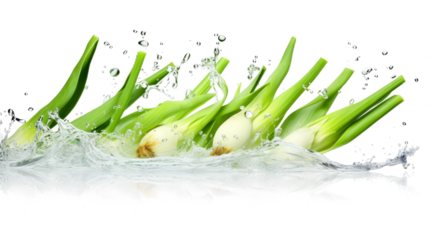 Leek sliced pieces flying in the air with water splash isolated on transparent png.
