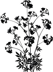 black wild flowers silhouettes on white background