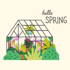Botanical garden, green leaves, foliage plants. Natural greenhouses with lush vegetation, card background. Greenery, orangery, nature in glasshouses. Flat vector illustration. Hello spring