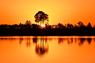 Bright orange sunset reflected in calm water of Pine Glades Lake in Everglades National Park,...