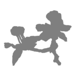 Buds flower on branch shadow overlay effect on white background. An apple buds flower for overlay png