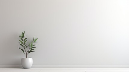 Minimalist Elegance: Modern Houseplant in Blank Interior Decor. Suitable for your projects and copyspace writing.