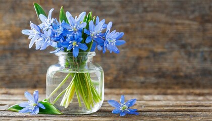 spring flowers scilla in a glass bottle on a wooden background - obrazy, fototapety, plakaty