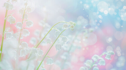 Closeup of white flowers, lily of the valley, pastel pink and blue background with bokeh