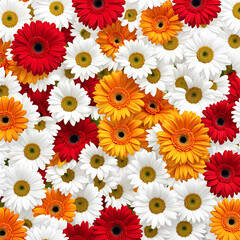 multicolored floral background