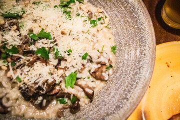 Gourmet Mushroom Risotto Topped with Fresh Parsley and Parmesan