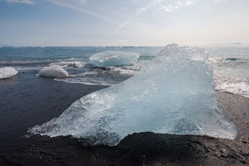 Iceberg pieces from a glacier calving into the ocean on a fabulous black sand beach in Iceland. Travel, unique experience, and winter season concept.