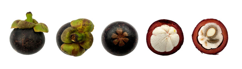 Mangosteen, also known as the purple mangosteen, is a tropical evergreen tree with edible fruit native to tropical lands surrounding the Indian Ocean.