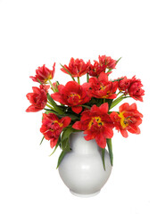 Bouquet of red terry tulips in a white ceramic vase on a white background isolated - 754954501