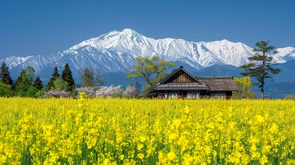 Tuinposter In the spring, there are rapeseed flowers in front of it and snowcapped mountains behind it. Green trees grow on both sides of the field. © JetHuynh