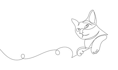 continuous single line drawing of climbing cat, line art isolated vector illustration
