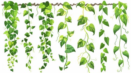 Green liana vines with lush leaves. Cartoon modern illustration collection of rainforest creeping branches with foliage. Short ivy climbing stems and rope. Tropical hanging vegetation. - obrazy, fototapety, plakaty
