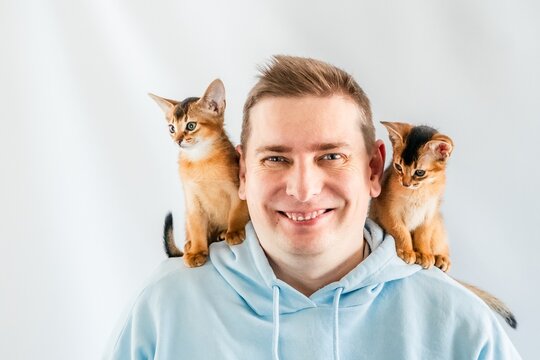 Smiling funny man in blue hoodie with twin Abyssinian cats, small newborn kittens sitting on shoulders. White background. Happy pets, fluffy domestic animals. Cute, friendly, animal kitty lovers